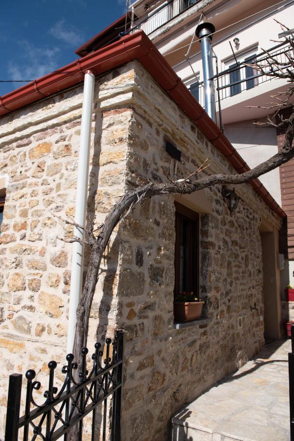 Το Πέτρινο Της Γιαγιάς Μαρίκας Appartement Karpenisi Buitenkant foto